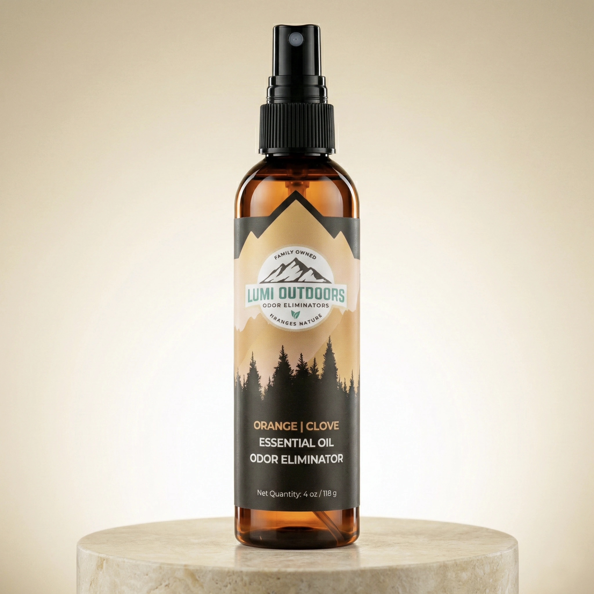 Home & Room Odor Eliminator | Orange Clove